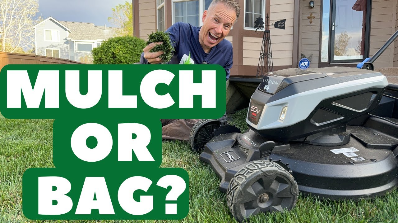 Mulching vs. Bagging Grass Clippings: Which is Better for Your Lawn?