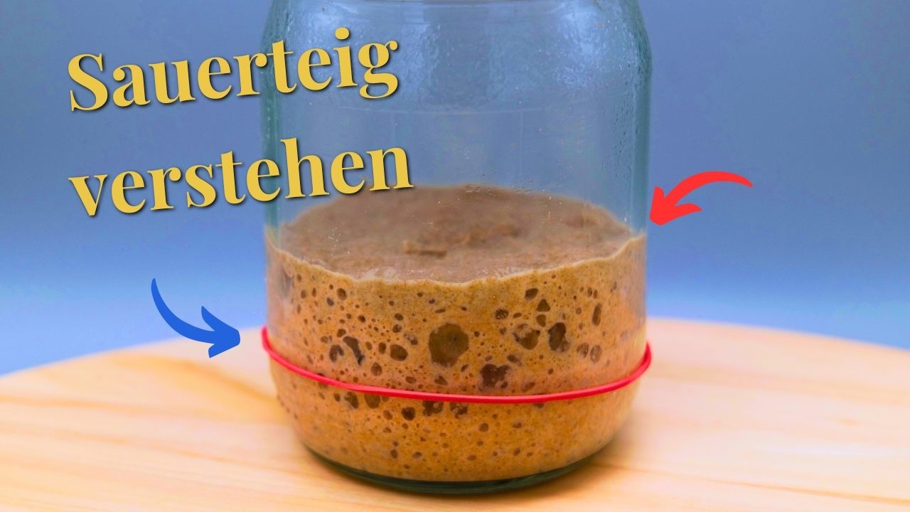 Sauerteig Grundlagen: Reife verstehen, Schimmel erkennen, Sauerteig wiederbeleben.