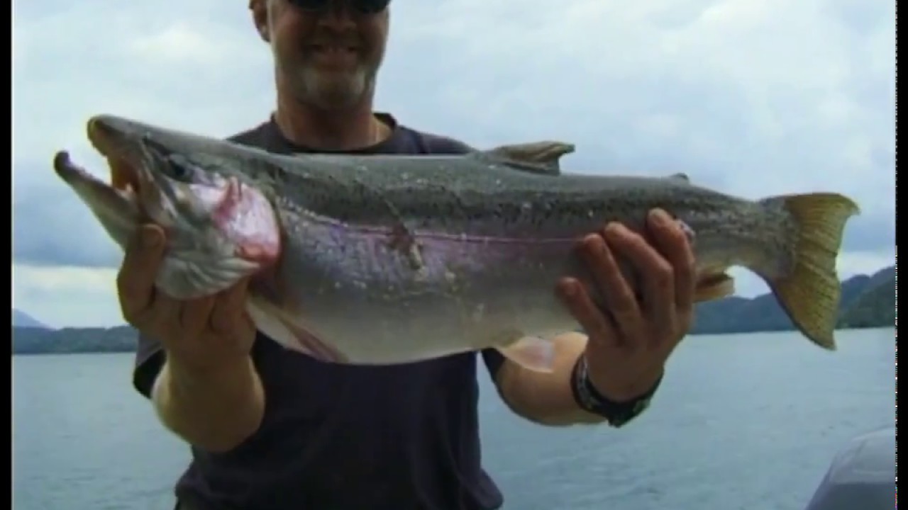 Jigging Trout NZ - GONE FISHIN' 