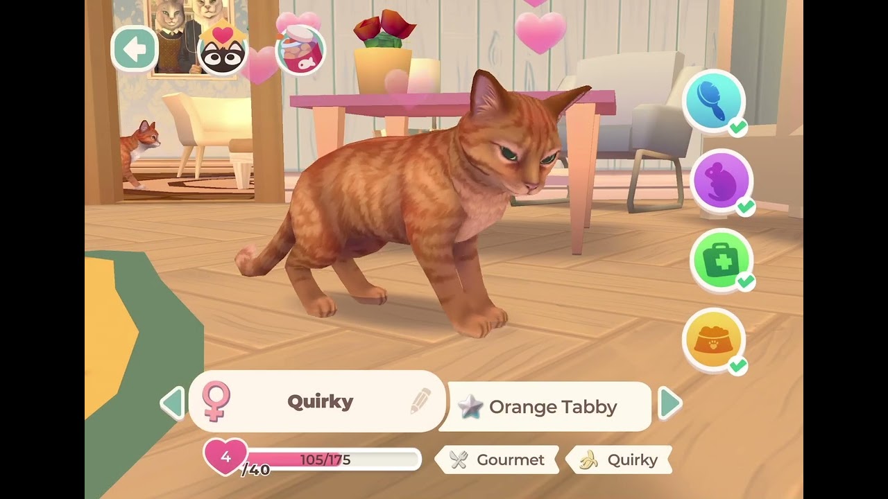 Cat rescue story