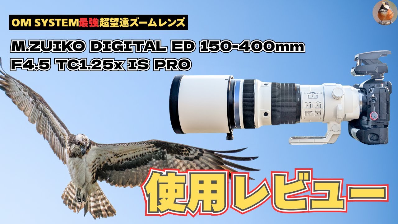 OM SYSTEM最強超望遠ズームレンズ M.ZUIKO DIGITAL ED 150-400mm F4.5 TC1.25x IS PRO使用レビュー