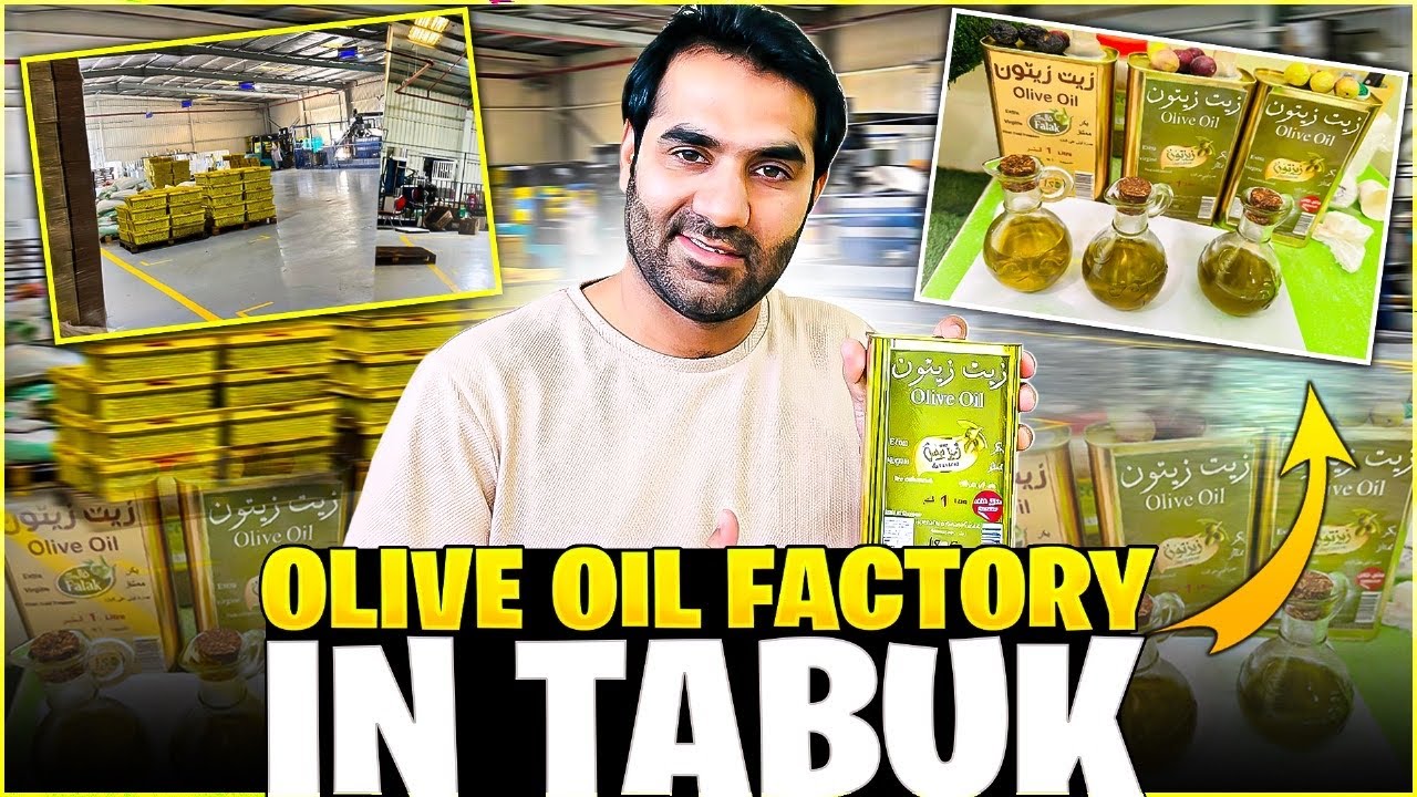 Olive oil factory in Tabuk | Tabuk city Saudi Arabia 🇸🇦
