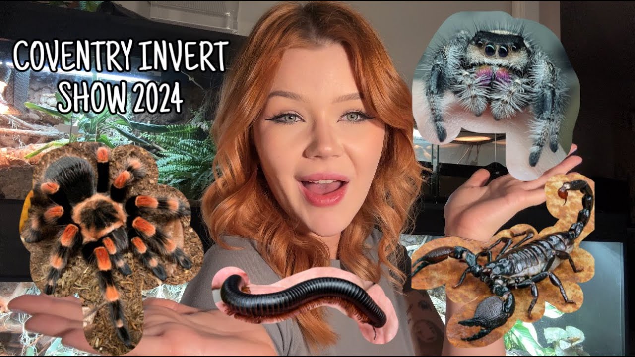 WHAT DID I PICK UP FROM THE EXPO?? | Coventry Invert Show 2024 Vlog + Haul