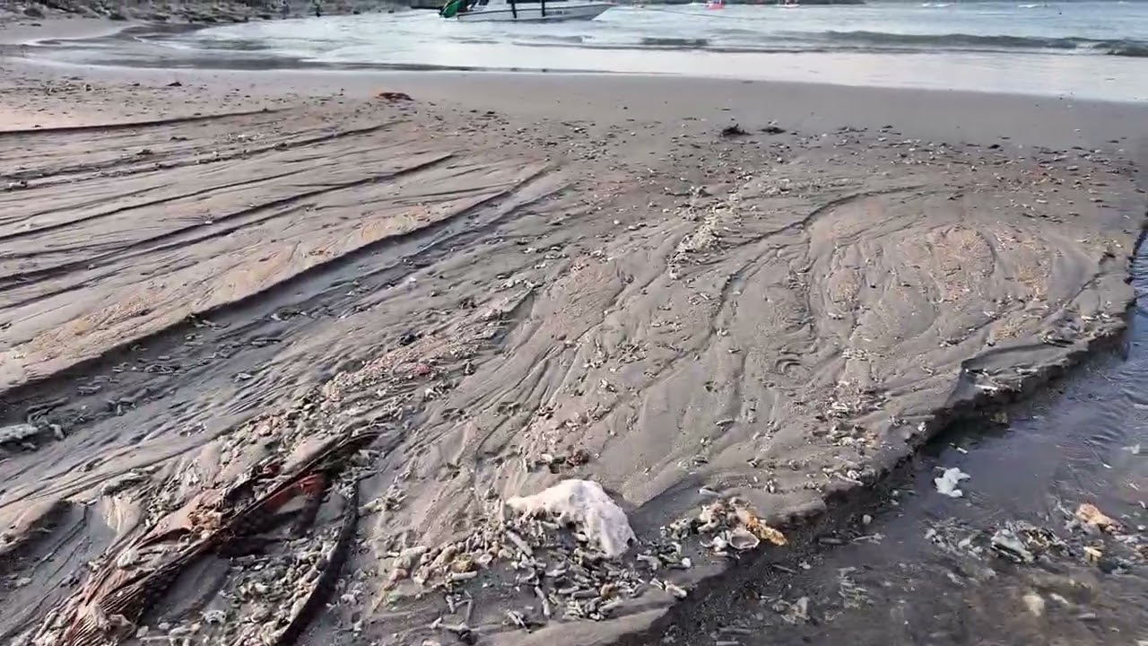 Sore santai di pantai sanur bali