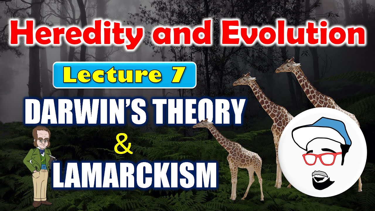 Darwin's theory and Lamarckism || Heredity and Evolution Class 10 SSC CBSE