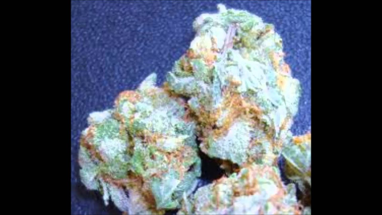 kush roll