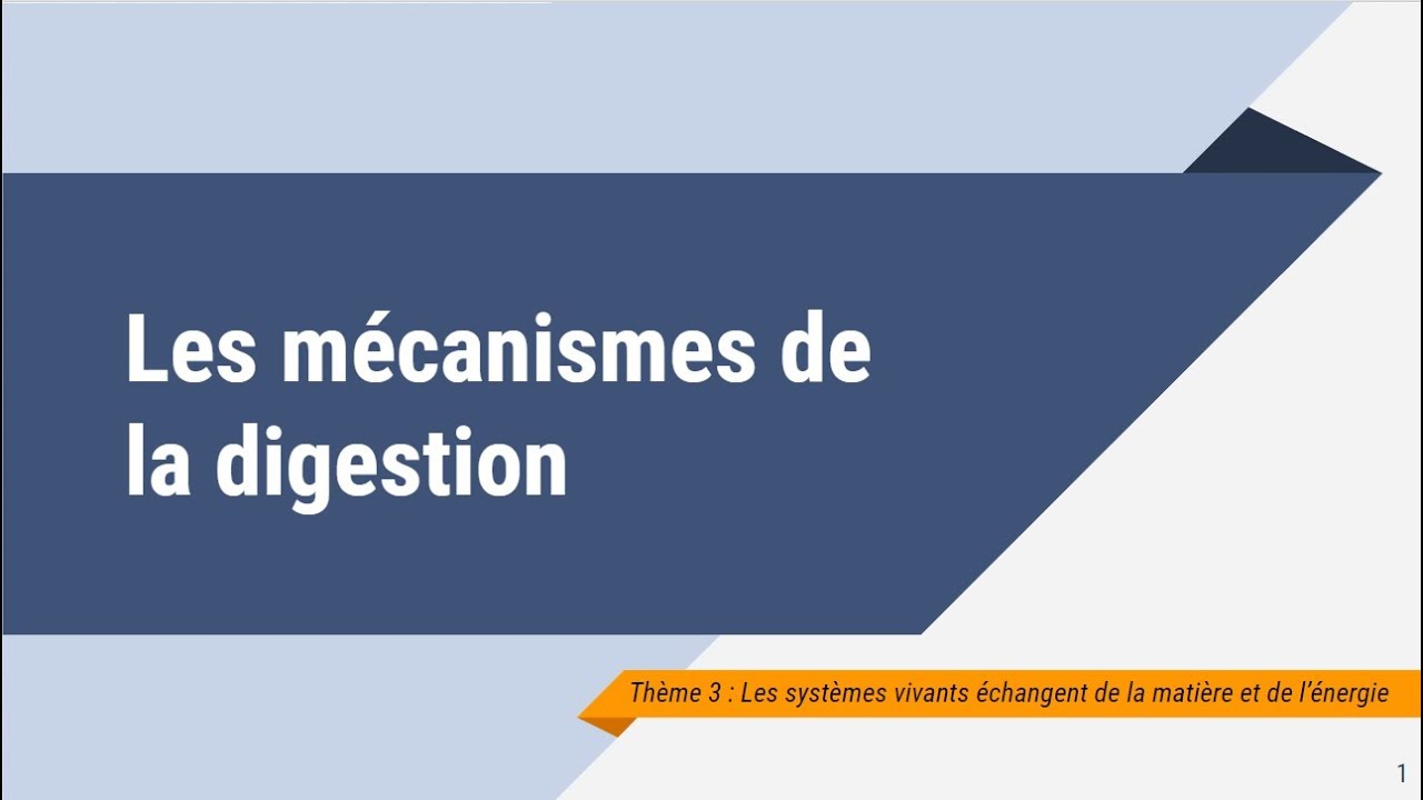 Les mécanismes de la digestion