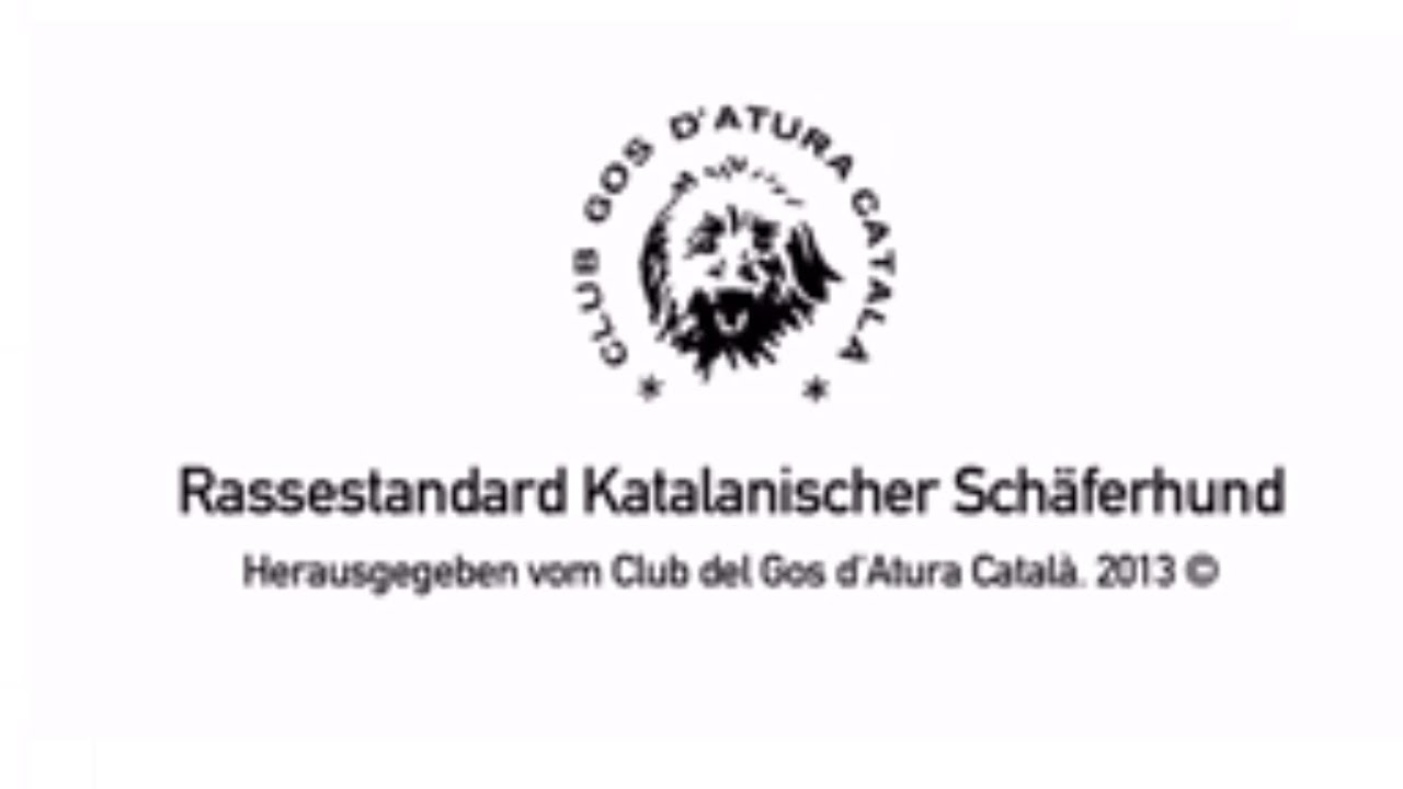 RASSESTANDARD KATALANISCHER SCHÄFERHUND - Deutsch