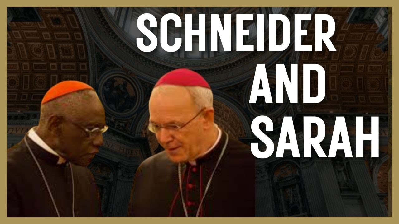 Bishops Schneider and Sarah Speak Up