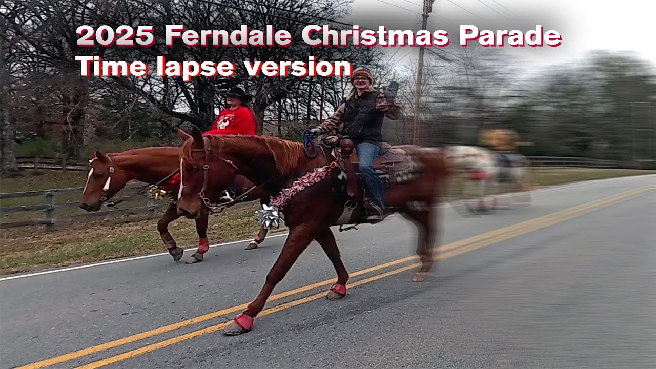 Ferndale Parade — Time Lapsed