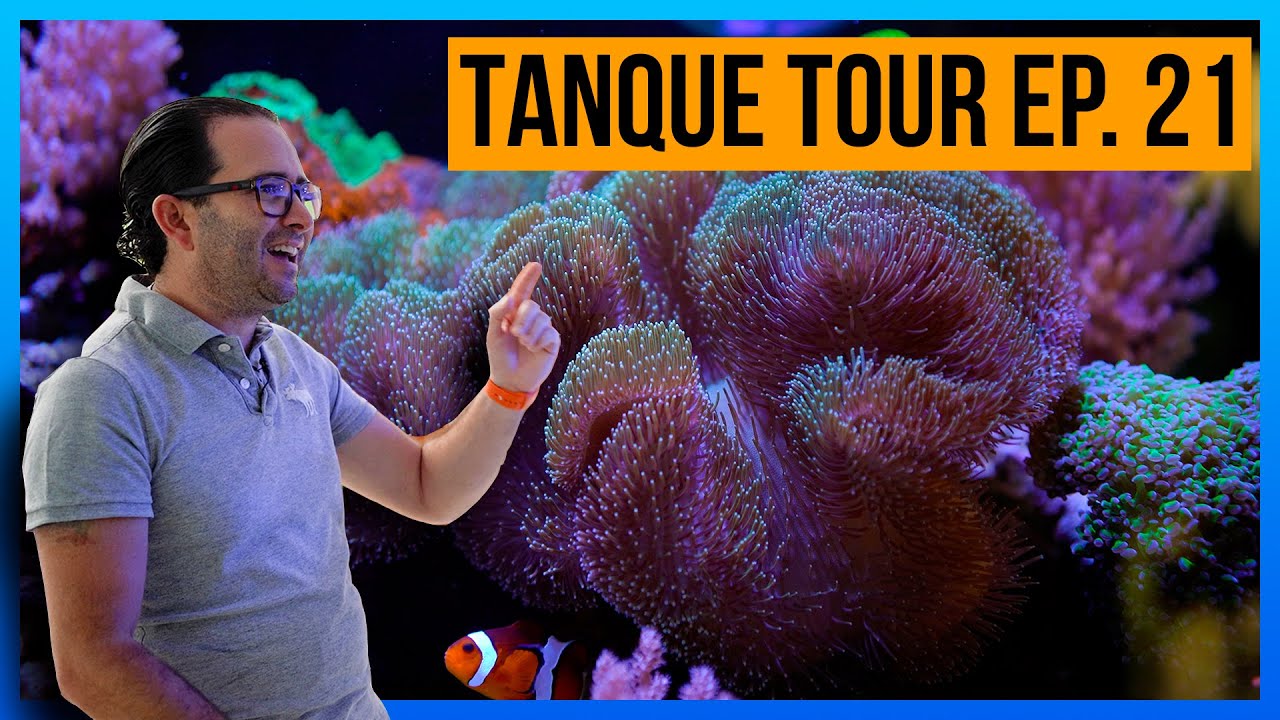 TANQUE TOUR Ep. 21 / Manuel Cossio
