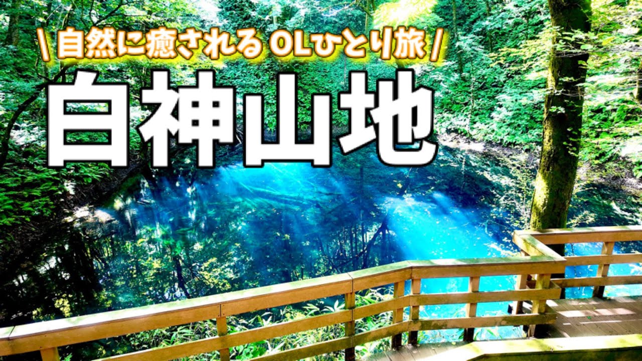 【世界遺産】白神山地に行ってきた🌳🦜 | 想像以上に青かった青池 | 沸壺の池 | 青森県 | 大自然