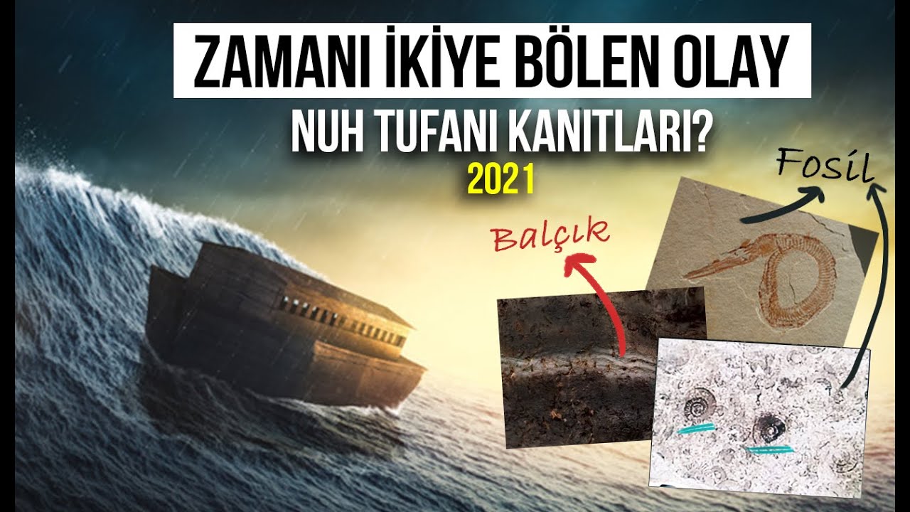 Ноев потоп: все диковинки! (ДОКАЗАТЕЛЬСТВА ОБНАРУЖЕНЫ!) 2021 г.