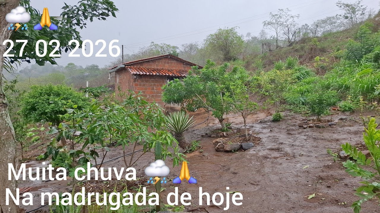 Caiu um forte temporal de ⛈️ aqui no sítio na madrugada de hoje 27 02 2026