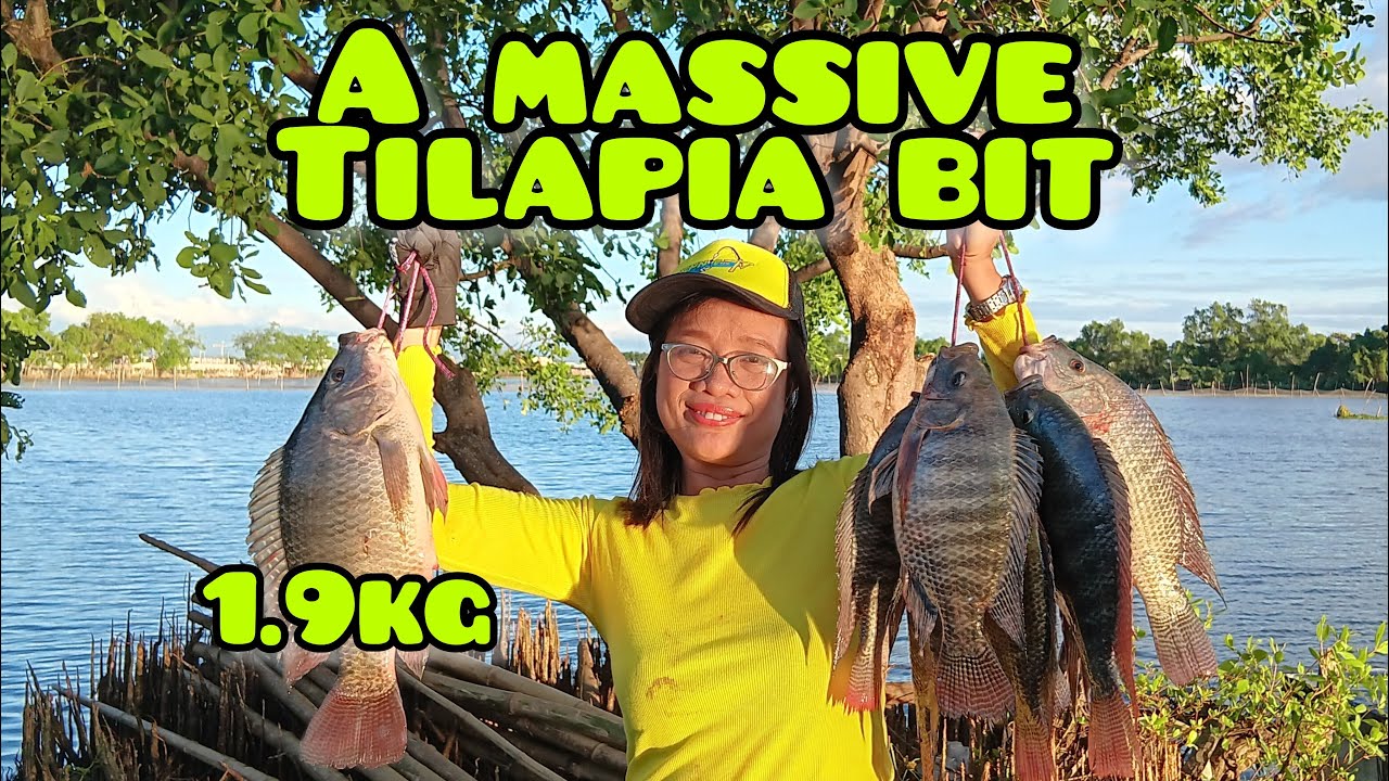 Natyempuhan namin ang kawan ng mga MAMAW na Tilapia