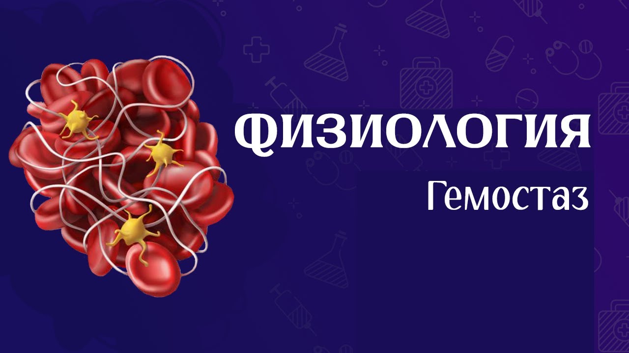 Физиология гемостаз