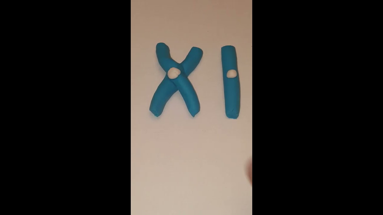 Chromosomes versus sister chromatid