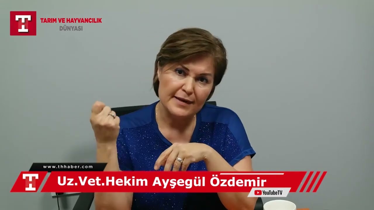 Kanatlı bitleriyle nasıl mücadele edilir