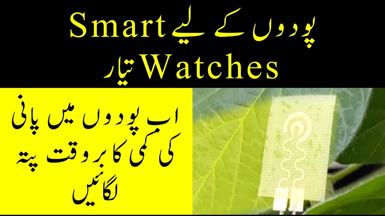 Wearable Sensor For Plant Leaves To Detect Water Needs