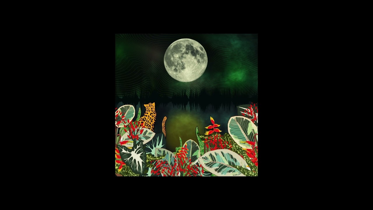 Plant Music - Seeds of Sound (Plant Growth) - Pt. 2 / Music for Plants - Bio Acoustics