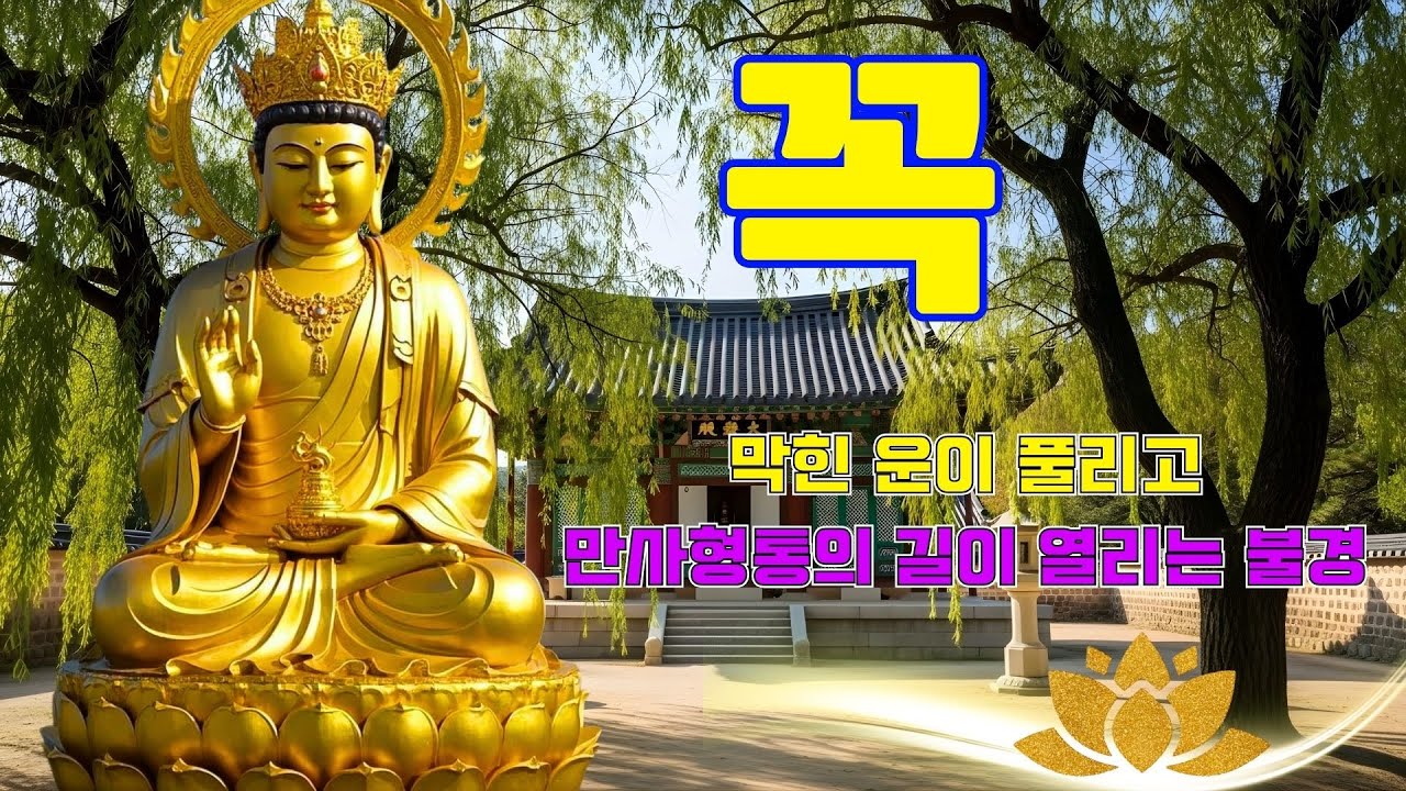 온갖 모든 액운이 소멸되고, 대운의 길이 열리는 불경 🍀천수경, 금강경, 신묘장구대다라니, 천지팔양신주경, 천지팔양신주경 🙏 우리말 관세음보살 정근 영인스님