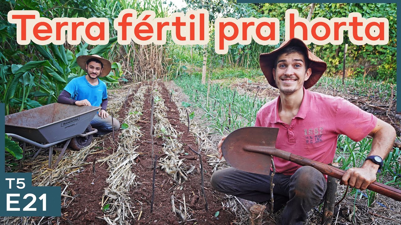 Como fazer a manutenção dos canteiros perenes da horta
