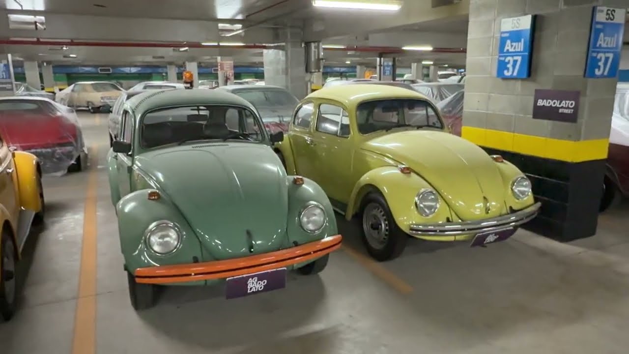 PARA ONDE VÃO NOSSOS CARROS QUE ESTÃO NA AMF ???
