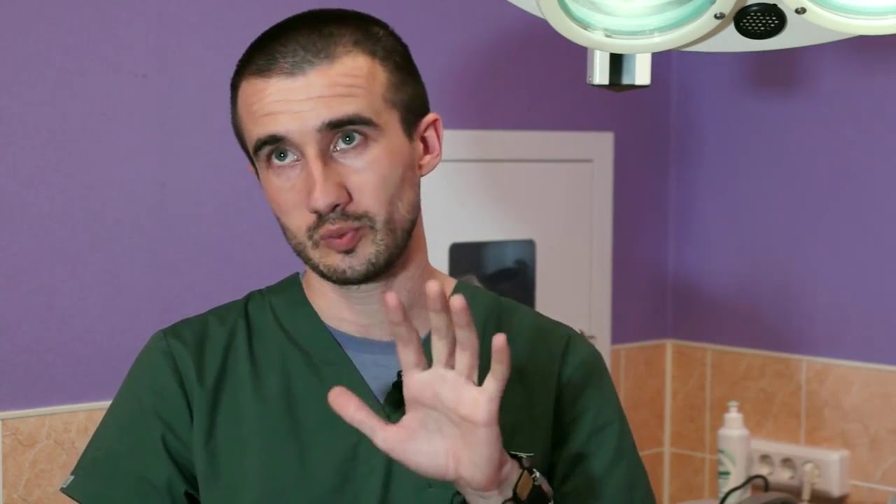 Стерилизация собак. Часть 2. Смертельные последствия.