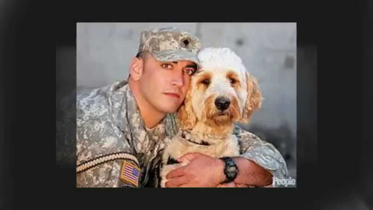Veterans  Courageous Canines 1080p