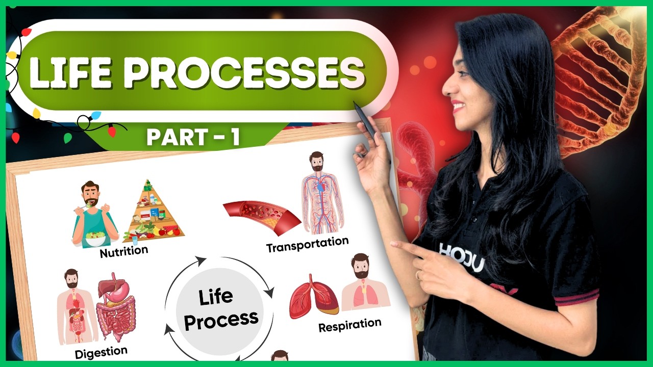 Life Processes Part 1 | Nutrition + Photosynthesis + Human Digestion | Class 10 Science Ch 5 | CBSE