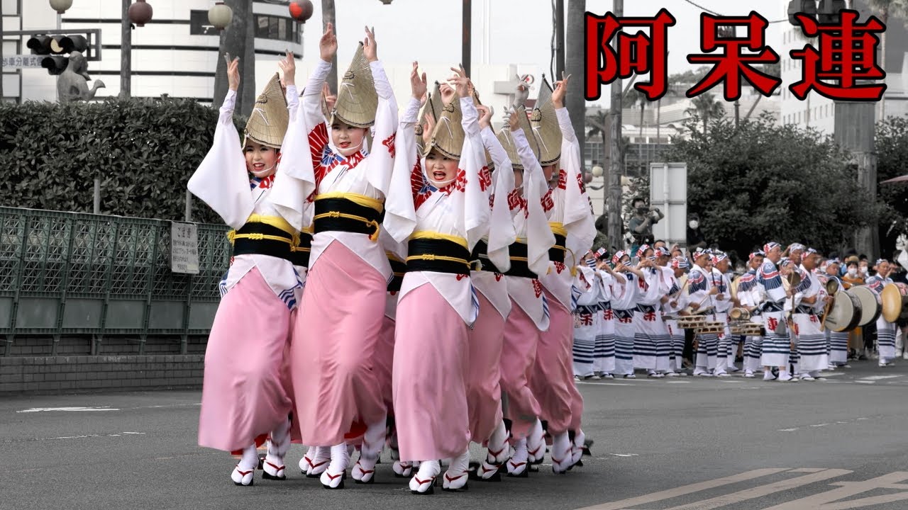 踊りました！阿呆連　2022徳島市阿波おどり
