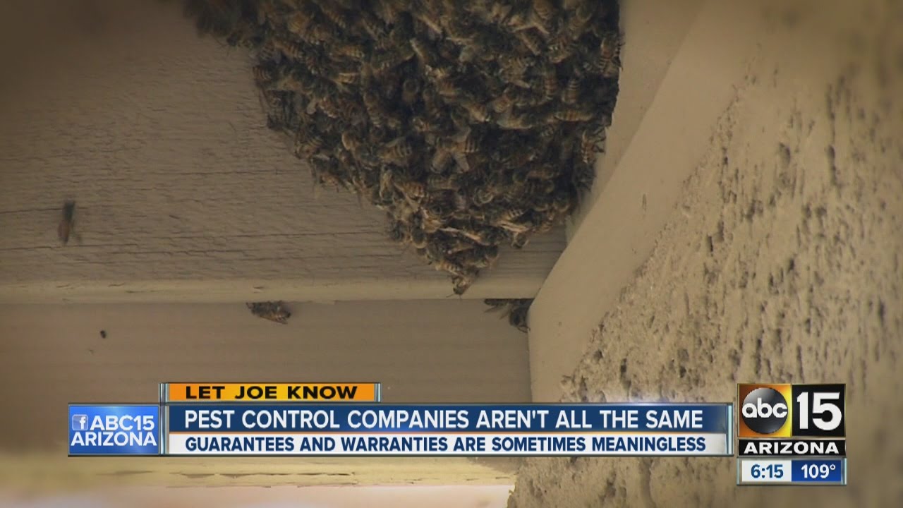 Pest control companies aren&rsquo;t all the same