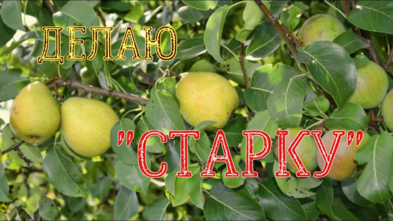 Как сделать 