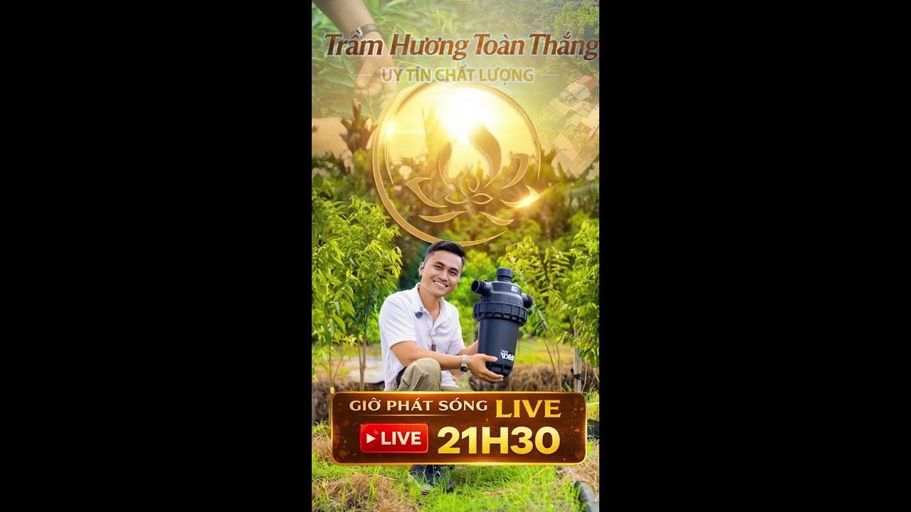 Trầm Hương Toàn Thắng Đang Phát Trực Tiếp