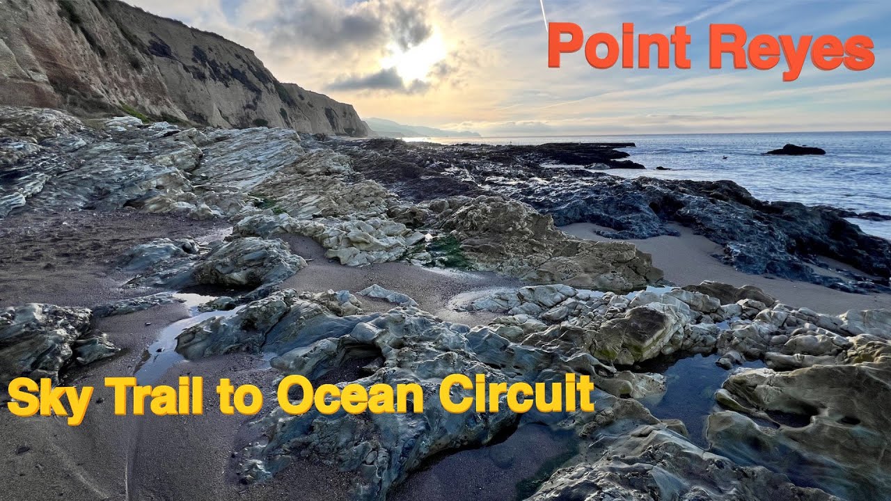 Point Reyes: Sky Trailhead Loop