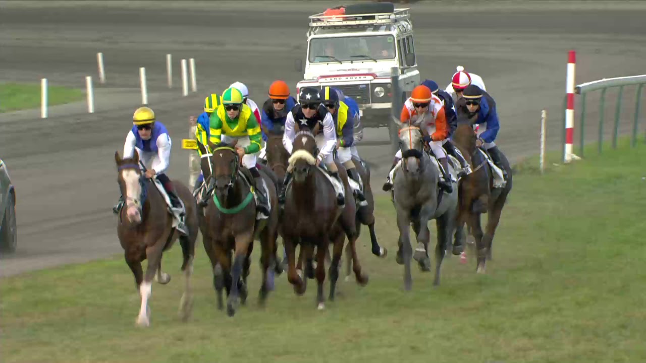 Ren 9 Waregem Koerse 2019: St. Leger (vlakke galop)