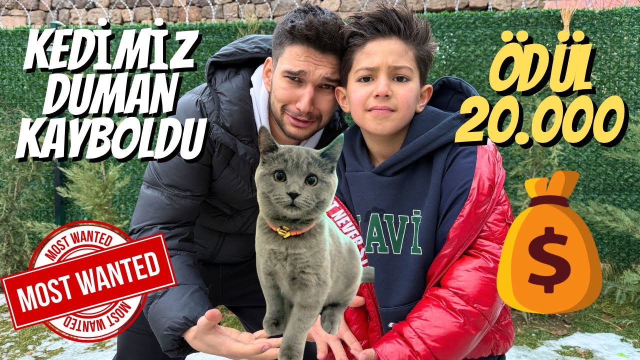 KEDİMİZ DUMAN KAYBOLDU😭😩 BULANLAR BİZİ ARADI
