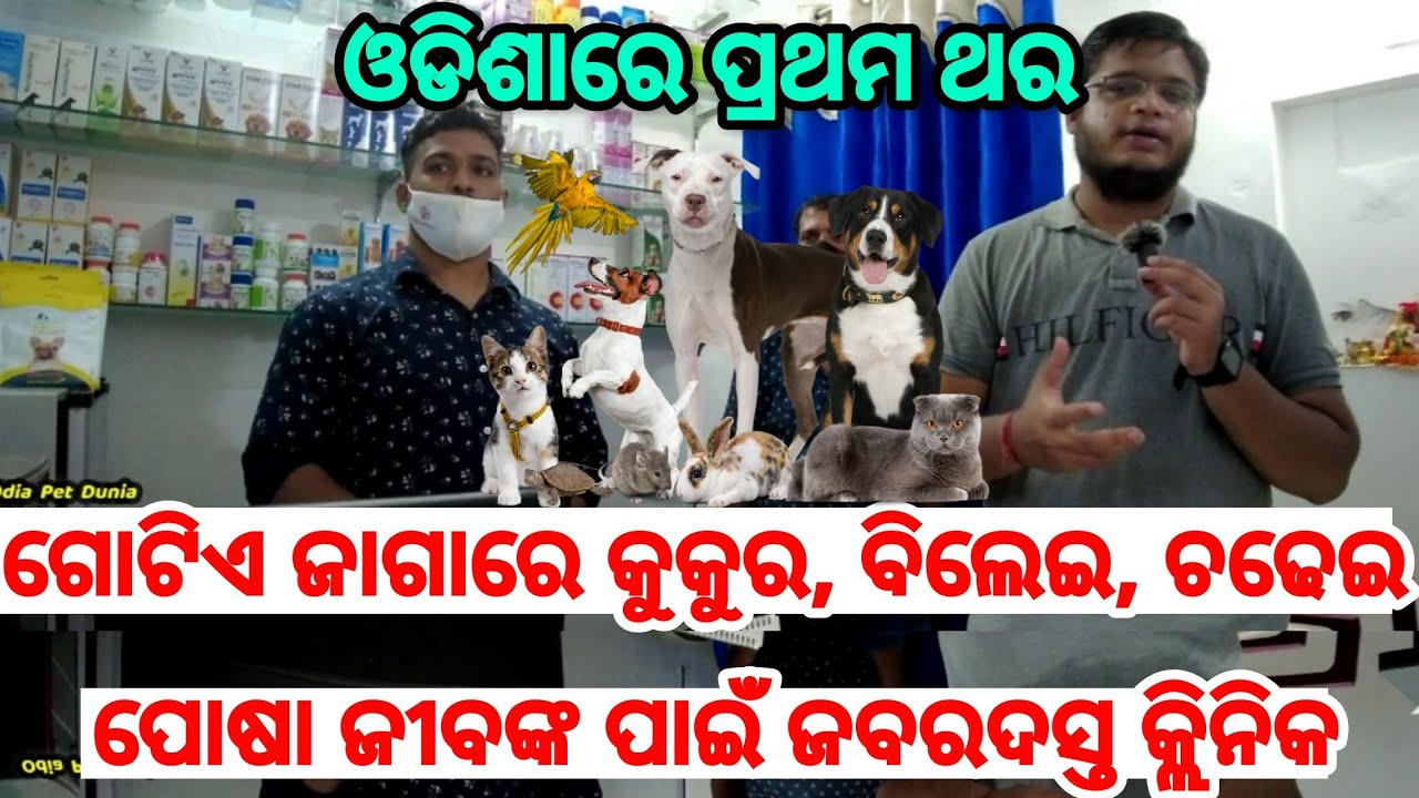 First Time in Odisha Best Pet Clinic for Dog, Cat and birds with 4 Veterinary Doctors offline online