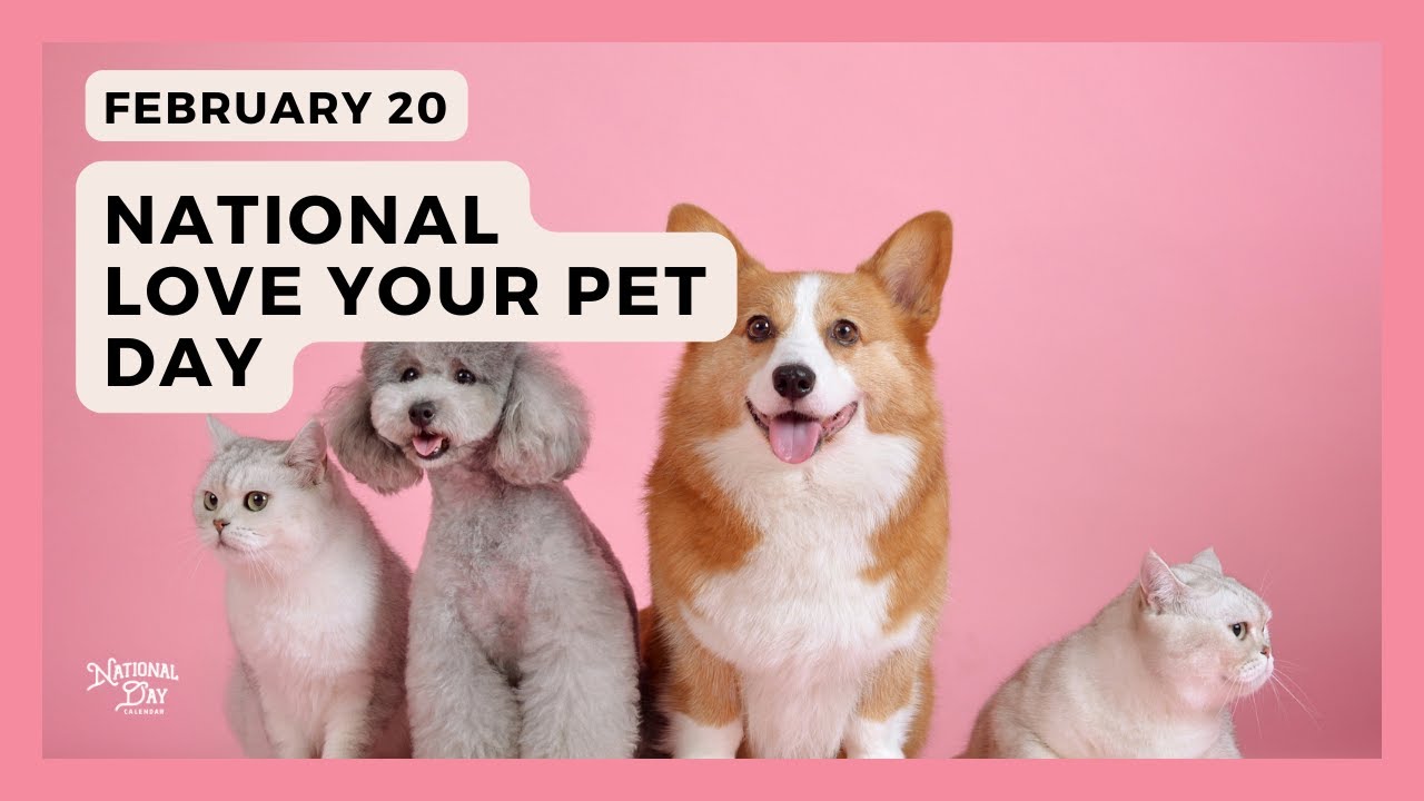National Love Your Pet Day | February 20