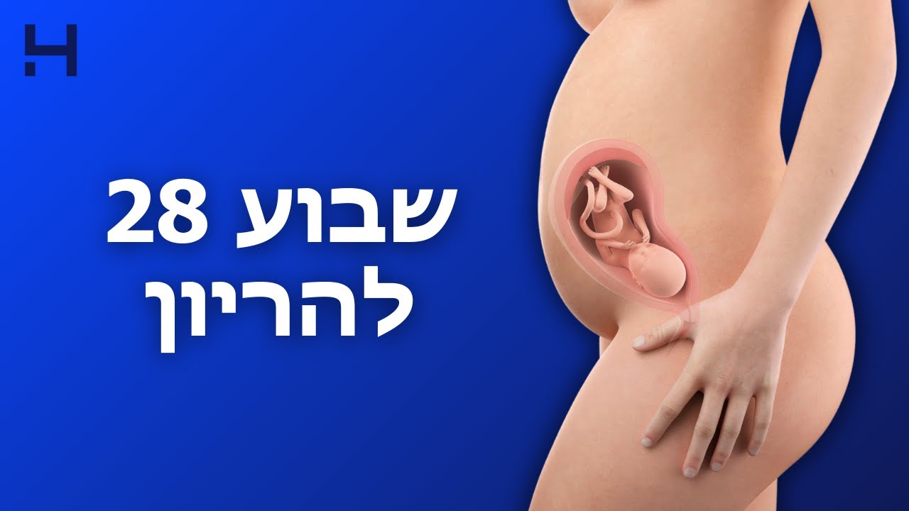 השבוע ה-28 להריון | 40 צעדים | הדסה טי וי