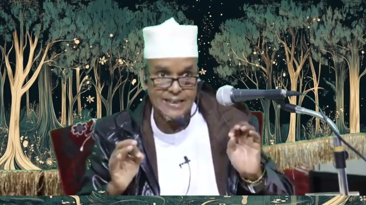 QISO cajib 