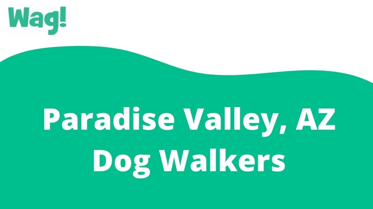 Paradise Valley, AZ Dog Walkers | Wag!