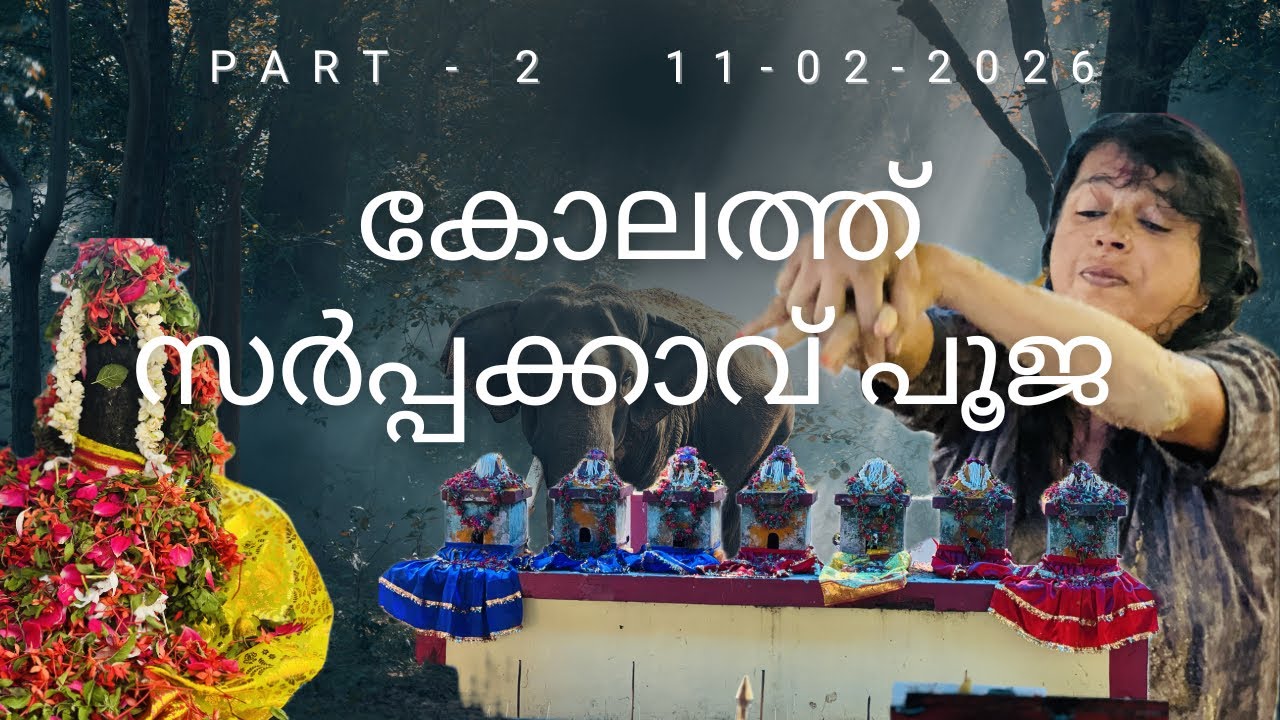 കോലത്ത് സർപ്പക്കാവ് പൂജ PART-2