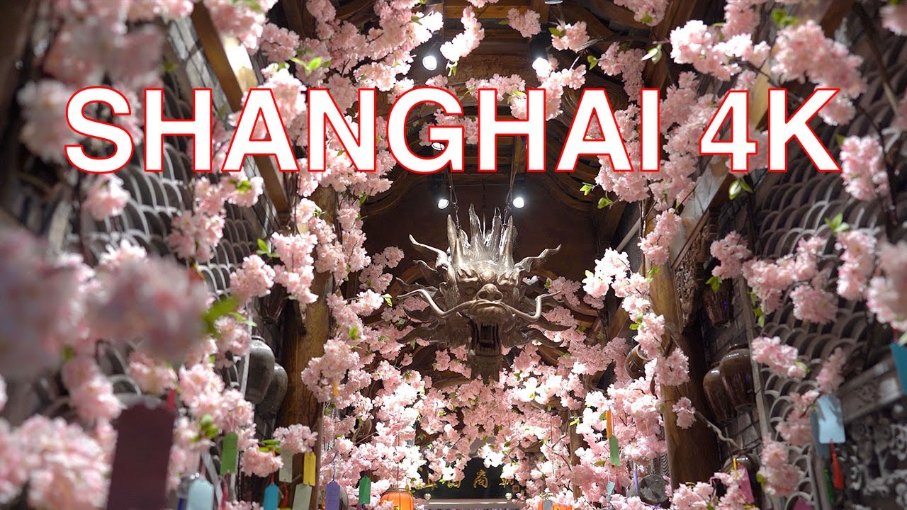 Shanghai 4K POV - Night Walk of Tianzifang - China 上海田子坊夜间漫步（2020）