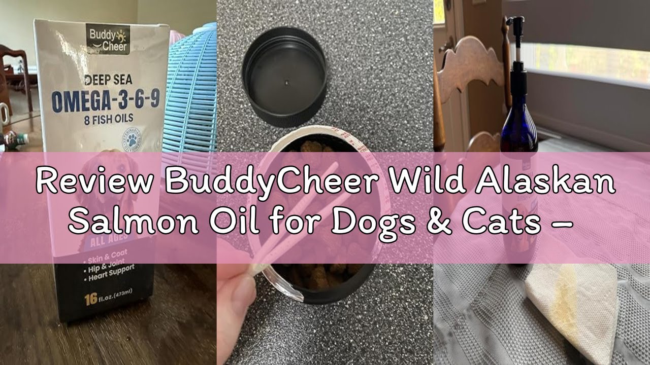 Review BuddyCheer Wild Alaskan Salmon Oil for Dogs & Cats – Fast-Absorbing Fish Oil for Dogs with Kr