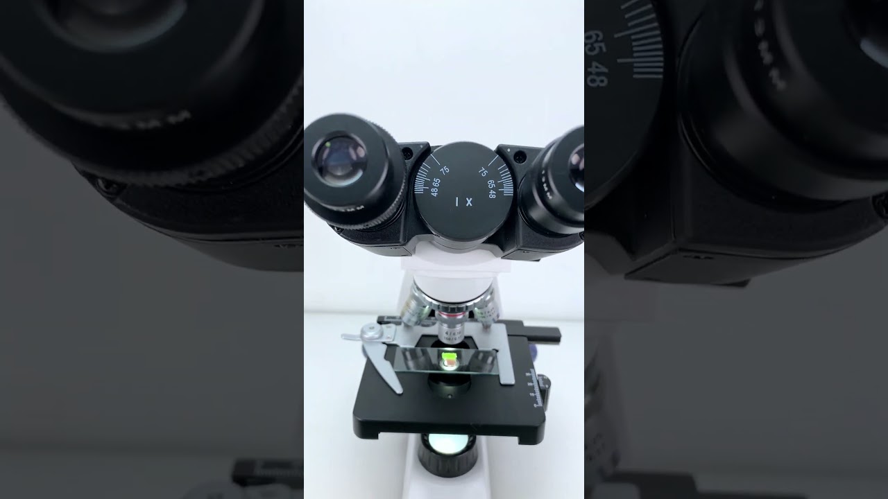 Rainbow Sour Strips look cool at 400x magnification! #underthemicroscope #microscope #science
