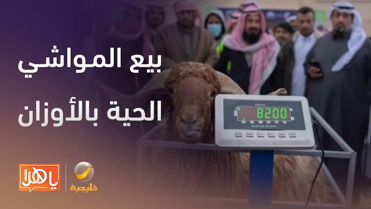 ما تأثير قرار بيع المواشي الحية بالأوزان علي الأسواق؟