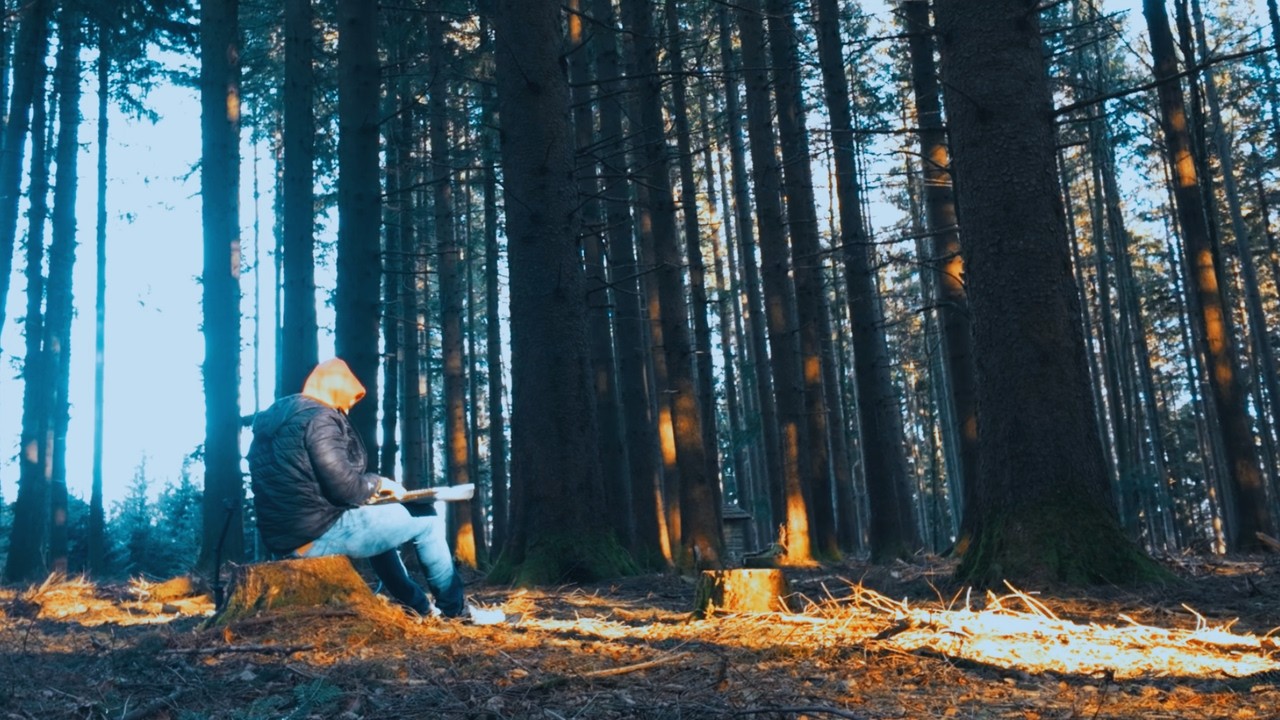 Peaceful Piano Music for Deep Relaxation | Forest Ambience with Birdsong – Wild Session 09 - ROOTED