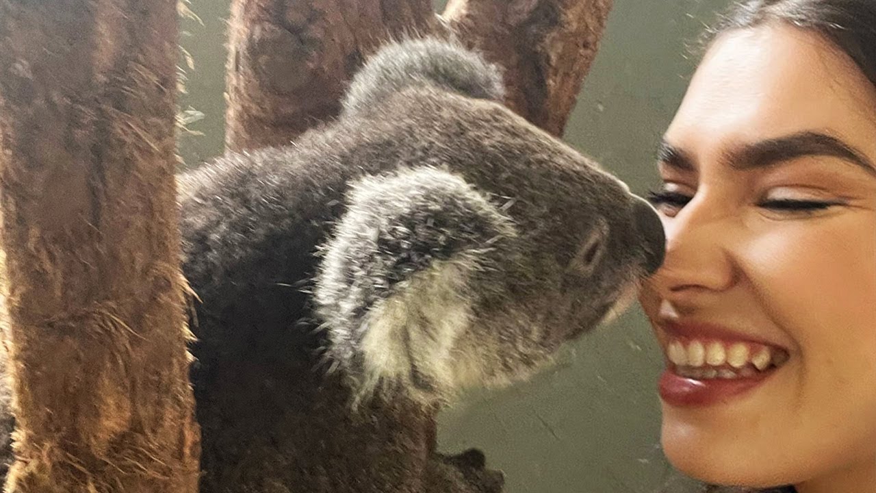 Life As A Young Female Zookeeper 🐨🐼🦁