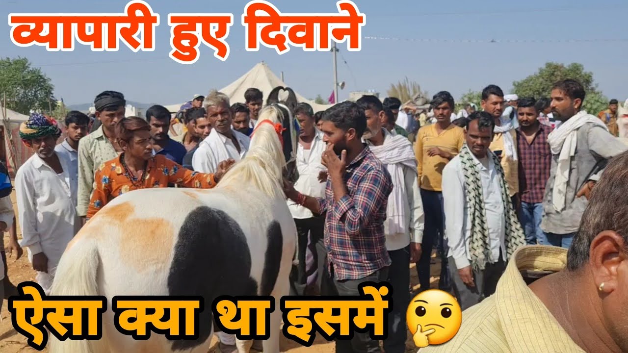 घोड़ी गाड़ी से उतरते ही लोग हुए पागल घोड़ी के लिए || Pushkar Mela 2021